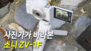 SONY ZV-1F (기본)_동영상_이미지
