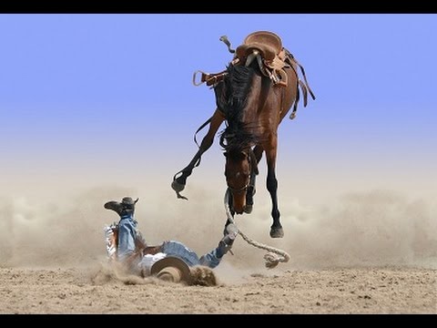 Bad Horse fails!! compilation 1
