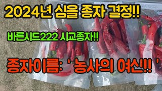 2024년 심을 종자 소개해요~!!! 순멎이 없이 착과량 엄청난 고추!! 고추 농사 잘 짓는법 구경해보세요^…