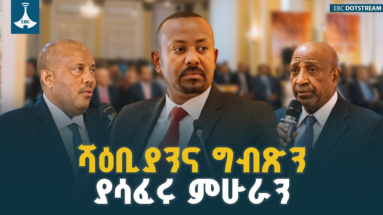 ሻዕቢያንና ግብጽን ያሳፈሩ ምሁራን |Ethio Melhik | Pm Abiy Ahmed | Getachew Reda | Professor Birhanu Nega |