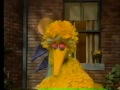 Sesame Street The Frog Who Wanted To Become A Prince