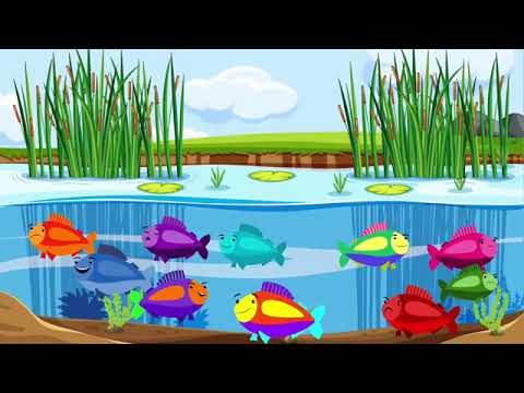 Be the pond |cosmic kids zen Den- Mindfulnees for kids