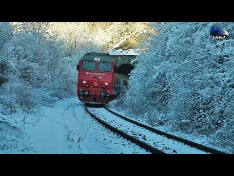 Horns Show de Goarne By Jimmy Tricolor 64-0920-0 in Munții Apuseni Mountains - 08 January 2020