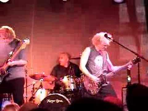 The Insect Surfers - Reptile Boots Live at Safari Sams