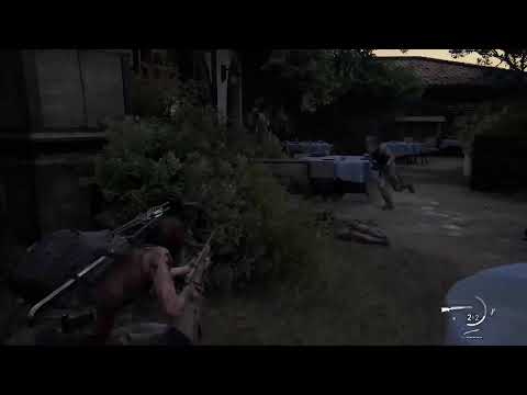 Joel did nothing wrong