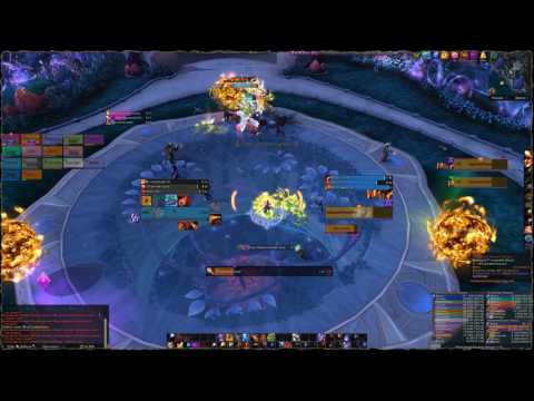 WOW [The Nighthold] High Botanist Tel'arn [Normal] - (Mage POV: Fire)