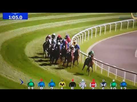 Almond Eye Dubai World cup