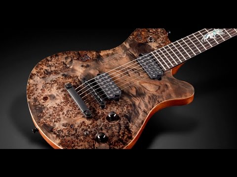Framus Custom Shop Masterbuilt - Panthera Bleached Nirvana Black OFC