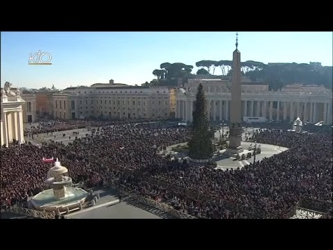 Angélus du 24 janvier 2016