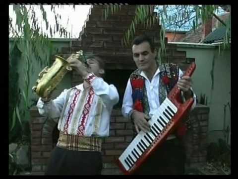 Petrica Blidaru - Vin acasa de departe