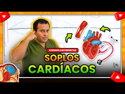 HEART MURMURS, LEARN TO INTERPRET THEM ✍🩺 🔊 | Cardiac Semiology