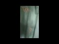 Mukena Rayon Dewasa Bordir Raissa Set Tas