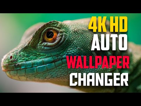 Auto wallpaper changer 2021 | Auto Change Wallpaper On Android Mobile