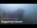 Linkenheim-Hochstetten - Baggersee Giesen, Krebs, Süsswasserkrebs, Fische, Baggersee, Giesen, Giesensee, Linkenheim-Hochstetten, Deutschland, Baden Württemberg