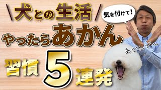 犬との暮らしでやってはいけない5つのこと。