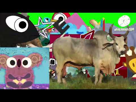 Animal Stampede Part 6