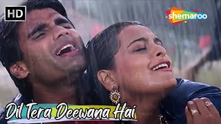 Download lagu Dil Tera Deewana Hai | Sunil Shetty, Shilpa Shirodkar | Kumar Sanu Songs | Raghuveer Hit Love Songs mp3