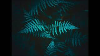 Tina Cousins - Live And Breathe  *bucle*