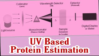 UV Absorption Method of Protein Estimation | Protein Assay | Dr. Nagendra Singh | PENS#37