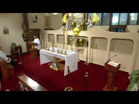 Daily Readings and Homily - 2025-09-25 - Fr. Dwight Longenecker