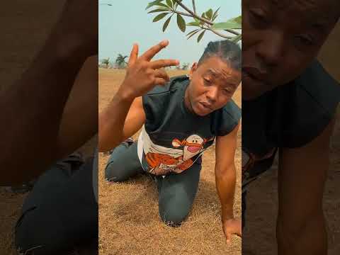 OLUWA - Great Maxy (reel visual) @ogasabinus @colorstv   @officialtimaya  @MTV