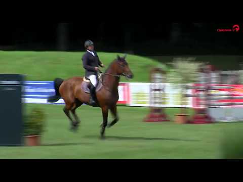 Schenefeld 2017 - Springprüfung Kl. S** - Gordon Paulsen und Connor