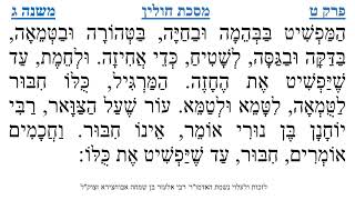 מסכת חולין פרק ט משנה ג