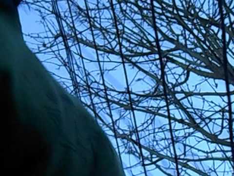 Voetweg 45 Hombeek zonder gezien te worden