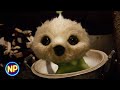 Angry Dicky Throws CJ7 Away CJ7 2008 Now Playing