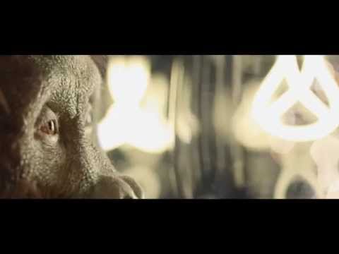 Behind the Scenes: SSE 'Maya'