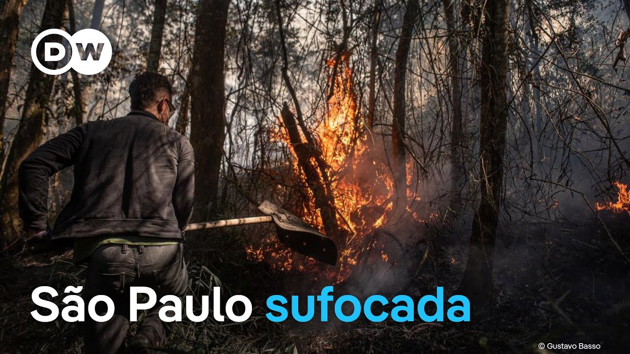 O drama dos voluntários que lutam contra o fogo em SP