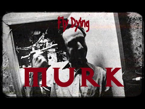fly Dying - Murk