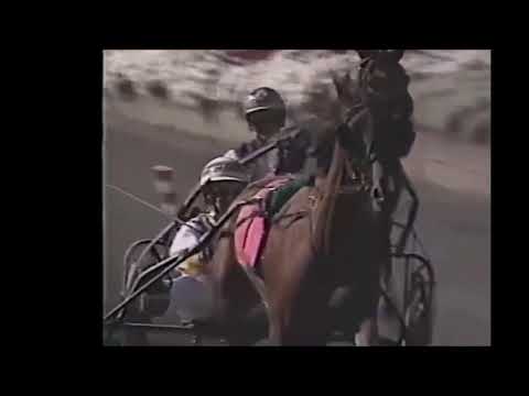 1998 Meadowlands MONI MAKER Wally Hennessey Breeders Crown Open Trot