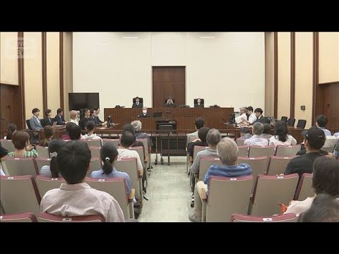 Tokyo District Court Rules Ban on Election Campaigning by ...