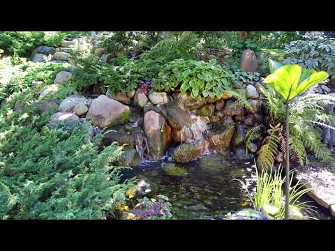 Andreasen Photography video.