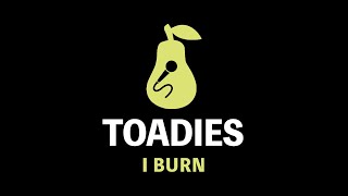 Toadies - I Burn (Karaoke)