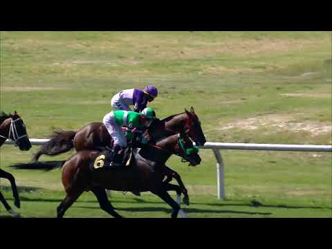 221218 c01 MANDA NAHUEL