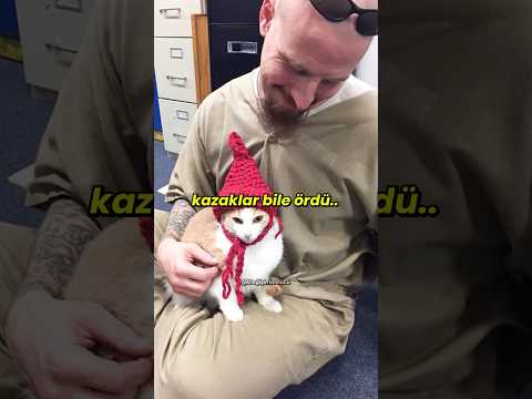 Yüzlerce Kediyi Hapishaneye Bırakırsanız Ne Olur! 🫢🫣🐈