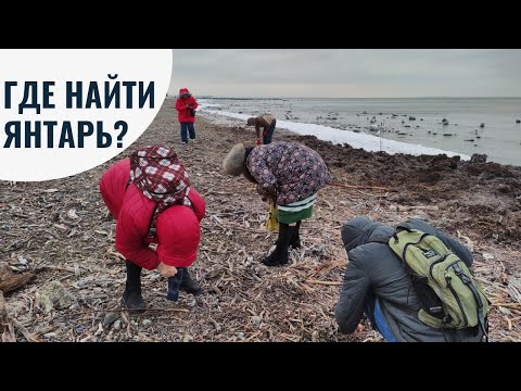 Где найти янтарь? Янтарная лихорадка. Собираем янтарь и я рассказываю о нем.