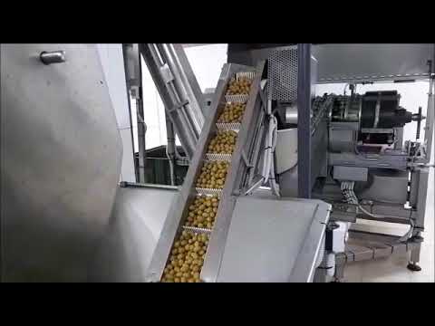 Stuffing olives line Foodin-Enco