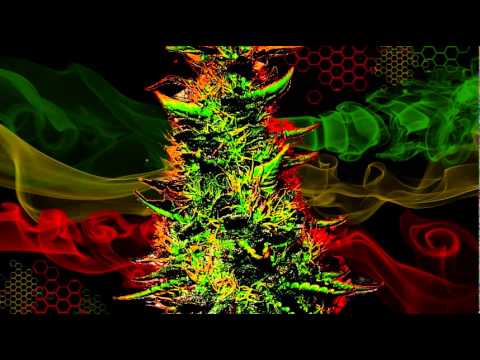 Tesla Principle - Forbidden Knowledge