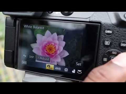 Panasonic GX8 Camera Review
