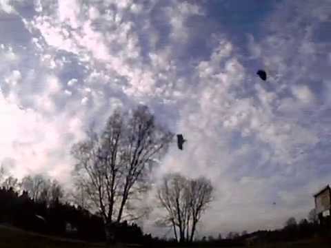 FPV DVR video - qqBJc0__ulY