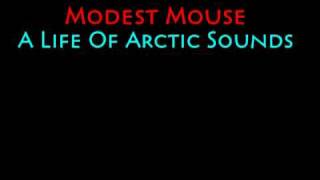 Modest Mouse "A Life of Arctic Sounds"
