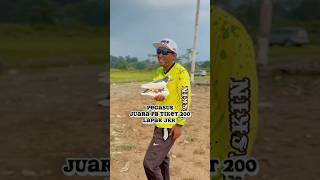 Download lagu PEGASUS TIM GASKIN UNGARAN JUARA 1 PB 200[ event lomba total 40JT] JKK SMG #gasspoll #merpatikolong mp3
