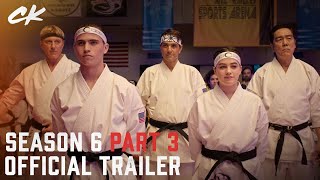 [閒聊] 眼鏡蛇道館最終季預告