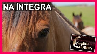 Miniatura do vídeo