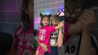 Download lagu LNS - Bữa tiệc của những chú mèo || Kitten dance cover | Just for fun #shorts mp3 Download lagu LNS - Bữa tiệc của những chú mèo || Kitten dance cover | Just for fun #shorts mp3