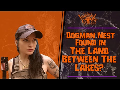 Dogman Nest Found In The Land Between The Lakes?