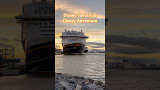 Rare Horn Battle! Disney Adventure & Disney Fantasy in Port Canaveral!!
